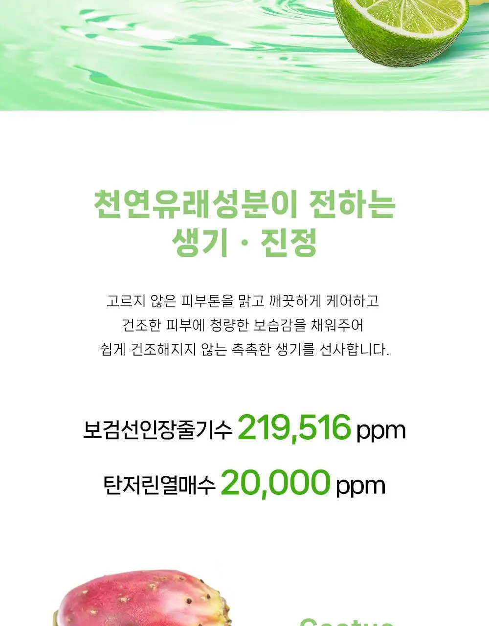 [모공팩클렌저] 오브베이스 픽팩 클렌저 2종 택1 상세페이지 51